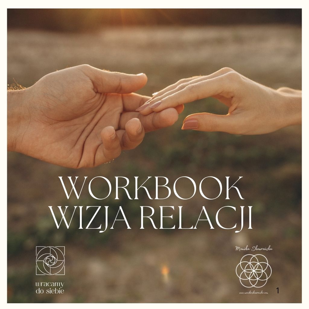 Workbook Wizja Relacji